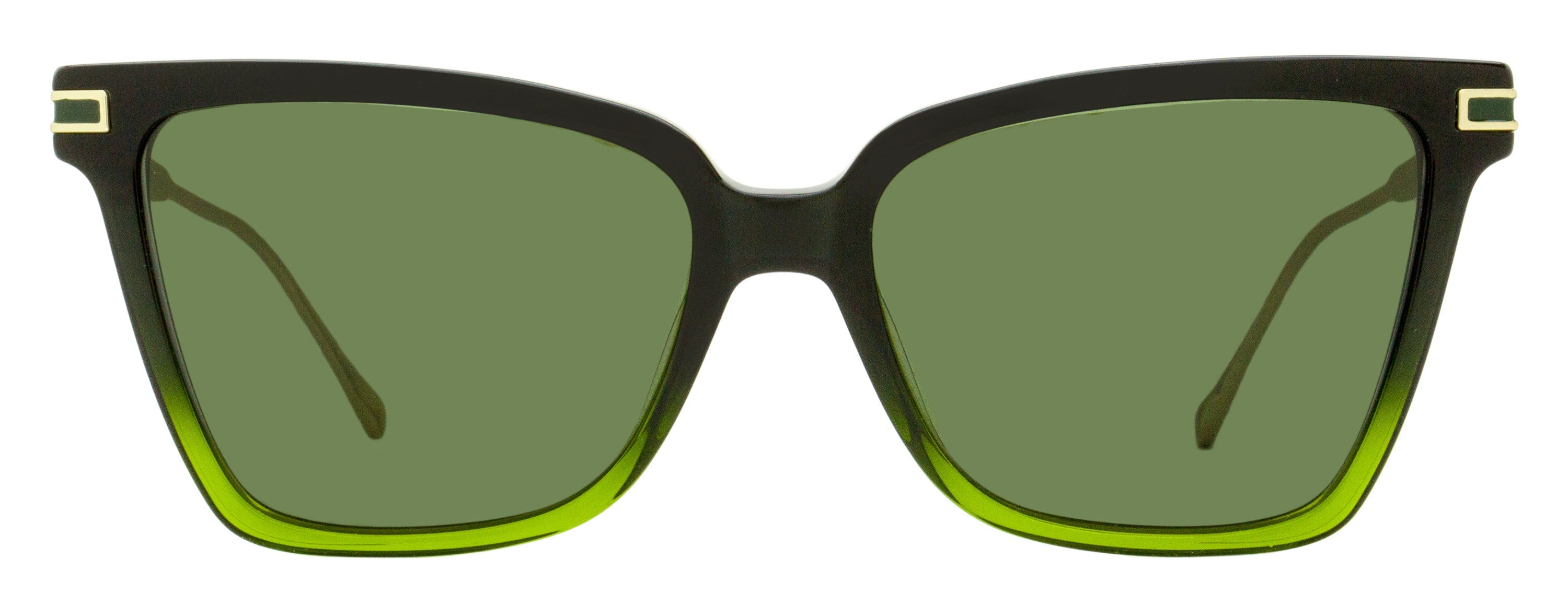 Ferragamo Gancini Butterfly Sunglasses SF2036S 316 Green Ombre 56mm